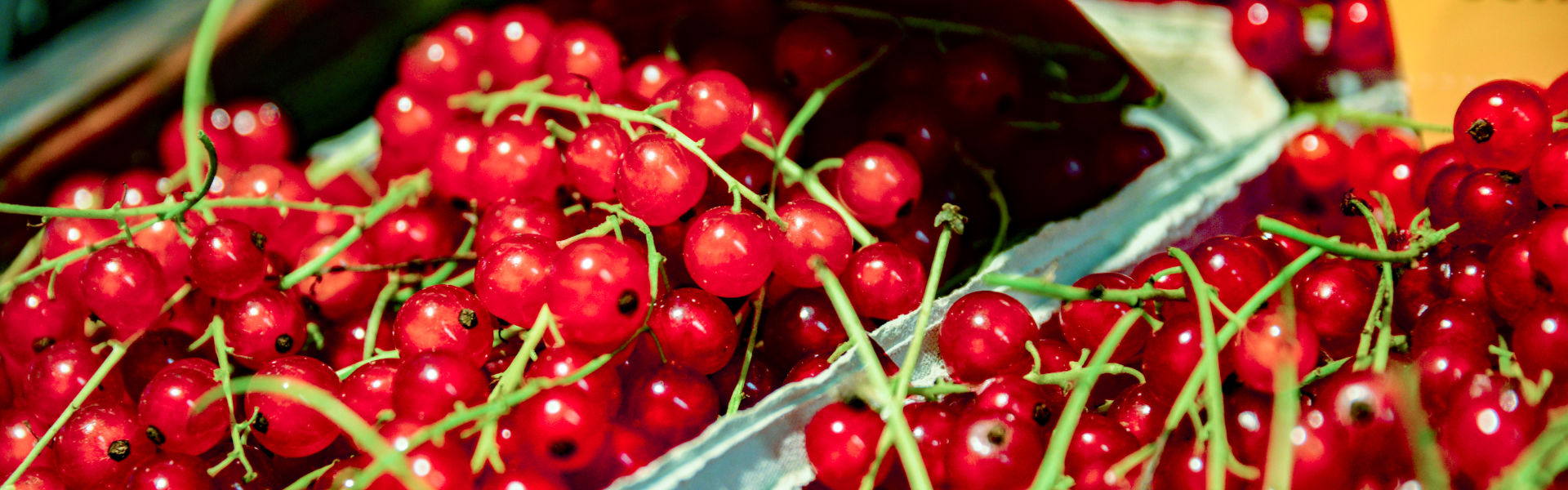 Obst und Gemüse